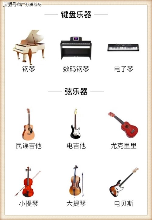 乐器品牌最新产品评测标准